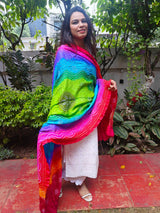 Multicolor gajji silk bandhej dupatta