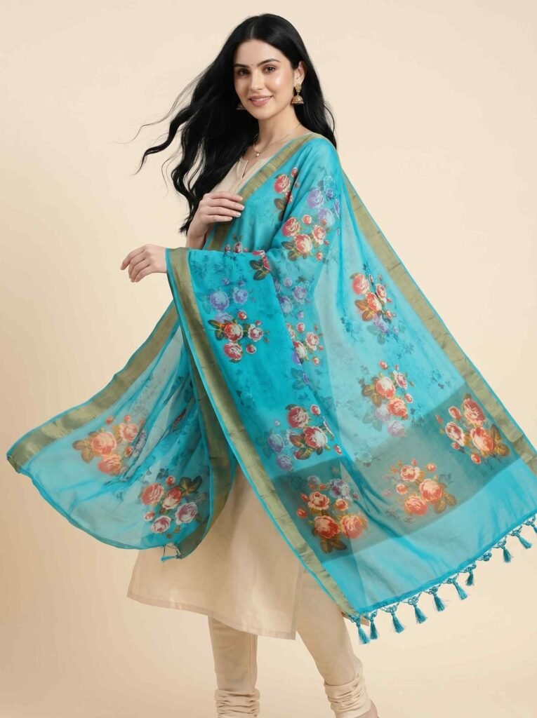 Skyblue Chiffon Silk Pure Banarasi Dupatta