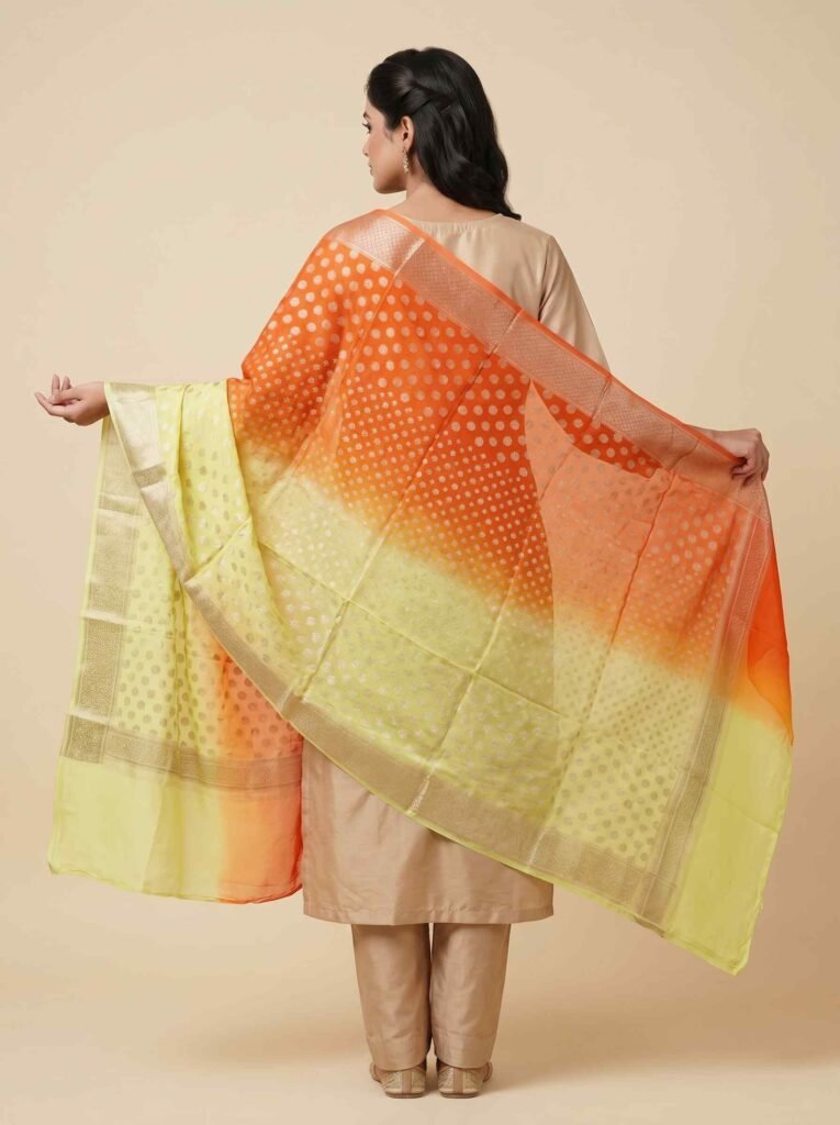 Dual Shade Khaddi Georgette Pure Silk Banarasi Dupatta