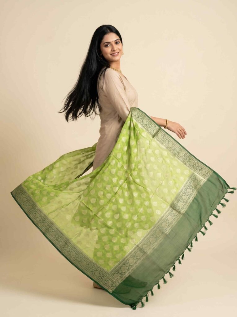 Premium chiffon silk pure Banarasi dupatta in green and bottle green with floral zari booti work